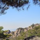 비봉 - 영등포구 | 비봉