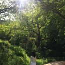 아산시-2019-007 | 아산 드라이브 코스｜한식·카페·산책·화덕피자·데일리룩
