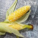 농업회사법인 세양(주)