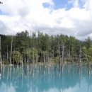 송영농장 이미지