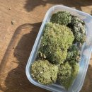 스튜디오콩테 이미지