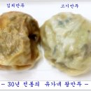 유가네왕만두