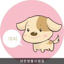 2029년 토정비법 🐔 이미지