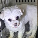 삼일로회관 이미지