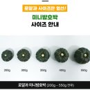 신규회원 대상 미니밤호박 보우짱 2kg 4,900원 (무료배송) 이미지