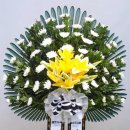 영락공원 장례식장 이미지