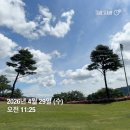 올데이 옥스필드 | 4월 말 아름다운 조경 옥스필드cc 이용후기 (클럽하우스 조/중식 추천)