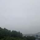 공화점 현대자동차 | 내 마음대로 한국경제신문 5월 24일.혼인무효. 노브랜드. 태양광株. 터블런스. EV3. 시스템반도체. 천비...