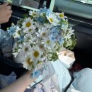 [공지] [야외 스냅] 강원도에서 스냅찍기 ㅣ 길건너바다사진관📸ㅣ 수원 인피니 플라워 미니 부케💐