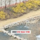 개나리식자재마트 이미지