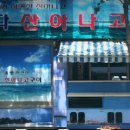 왔다산아나고 이미지