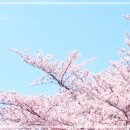 힐링스토리펜션 이미지