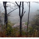 양촌자연휴양림 이미지