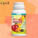 대유스토어 | 과실 전문 비대제 찾으시나요? '대유 과비대애'를 소개합니다!
