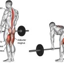 스탠스제이 이미지
