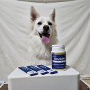 (주)에스앤에이치바이오텍 이미지