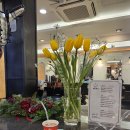 늘푸른자동차클리닉 | 명동미용실 이철헤어커커 명동2호점, 로레알 염색&amp;클리닉 후기