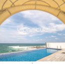 비다펠리즈 이미지