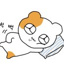 정드림흑염소 상계역점 이미지