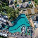 호텔정글(jungle) 이미지