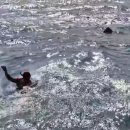 동해특수이송 뉴시스