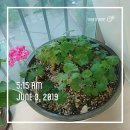 본오1동작은도서관 이미지