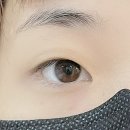 팅커벨브로우