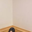 별이 쏟아지는 민박 이미지