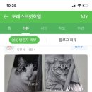 포레스트 캣호텔 이미지