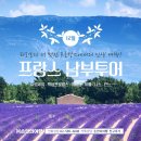 ㈜동원여행사 | [2023년 북유럽여행후기] 스웨덴 스톡홀름 구시가지 감라스탄을 돌아보다. (왕궁근위병교대식, 가장...