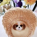 홀리데이민박 이미지