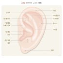 와우복지용구 | [일산방문요양-실버공감] 귀의 형태 이상