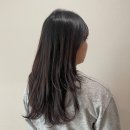 호원동한주아파트옆제방도로 | 의정부 커트 맛집 헤어레시피에서 레이어드 컷으로 스타일 변신