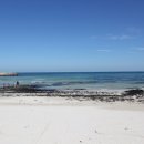 해난디아장 이미지