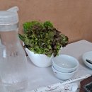 들풀산채정식 이미지