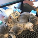 선우정아 콘서트 이미지