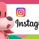 주식회사 핑고엔터테인먼트 이미지