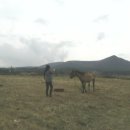 제주 자락 이미지