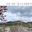 꿈애오토캠핑장 | 경북 캠핑장) 대구 근교 왜관 꿈애오토캠핑장 캠핑후기 (스카이H,I)