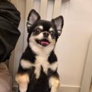 그루밍140 이미지