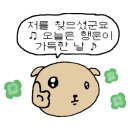 365매일약국 이미지