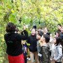 이덕주농장 이미지