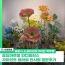 중앙아트홀 | 중앙아트홀 인디플러스, 자이언트 플라워 전시회 방문 후기