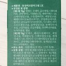 동성약국 | 염색약 알레르기. 알러지 없는 비건 약국 염색약. 동성제약 허브 칼라 크림 사용 후기.