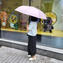 파스텔라 거꾸로 우산 장마템 딱이야
