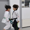 용인대 시선 태권도장 이미지