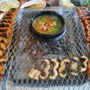 금강민물장어 이미지