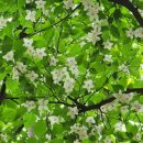 청하당한의원 이미지