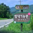 부흥농원