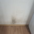 진이네 하우스 이미지